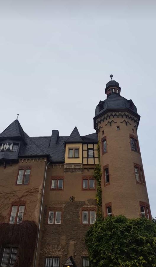Ferienwohnung Am Geysirzentrum Andernach Dış mekan fotoğraf