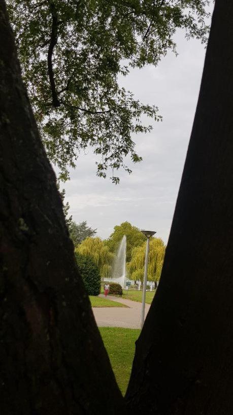 Ferienwohnung Am Geysirzentrum Andernach Dış mekan fotoğraf