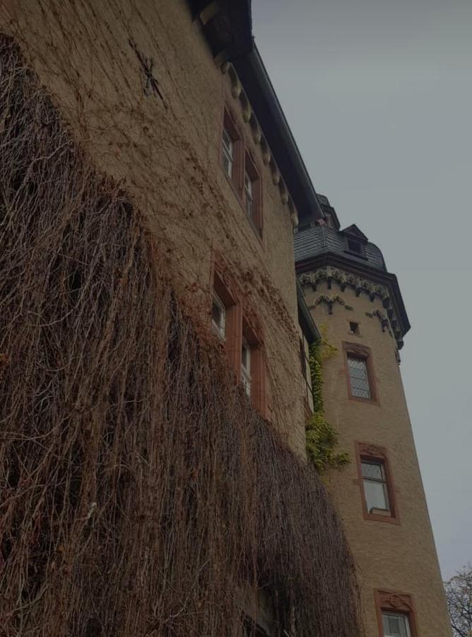 Ferienwohnung Am Geysirzentrum Andernach Dış mekan fotoğraf