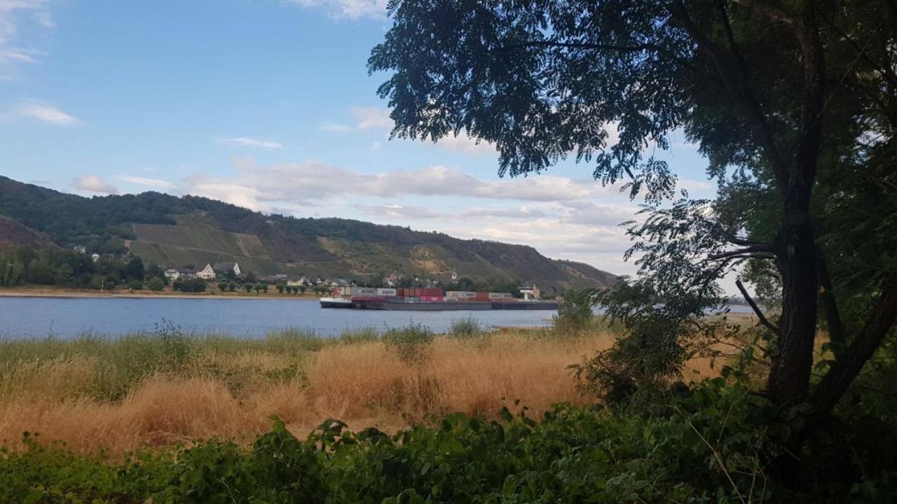 Ferienwohnung Am Geysirzentrum Andernach Dış mekan fotoğraf